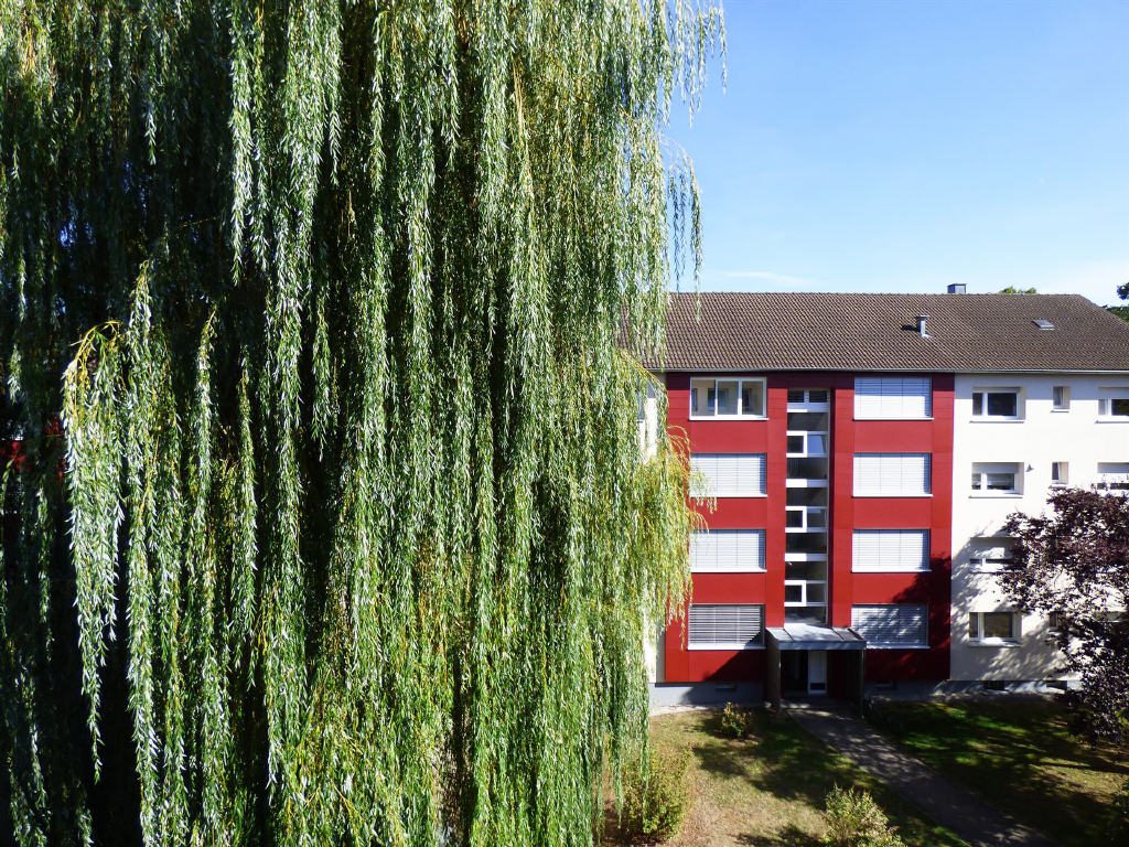 Geräumige Eigentumswohnung mit Balkon — Aussicht