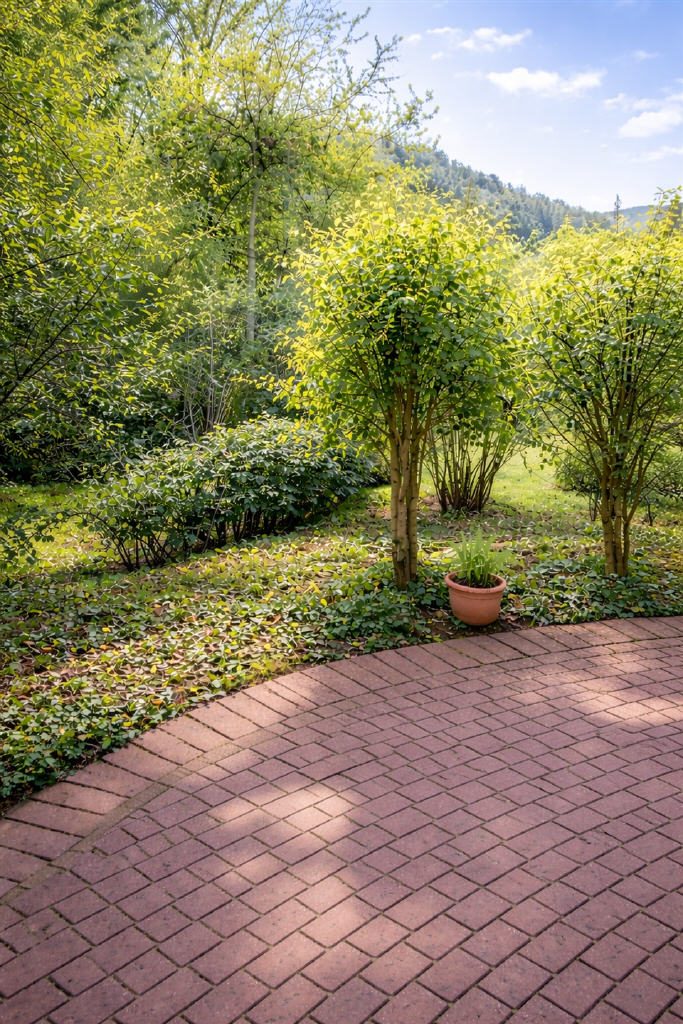 Sehr helle und sonnige 3 Zimmer ETW in Halbhöhenlage — Bild11