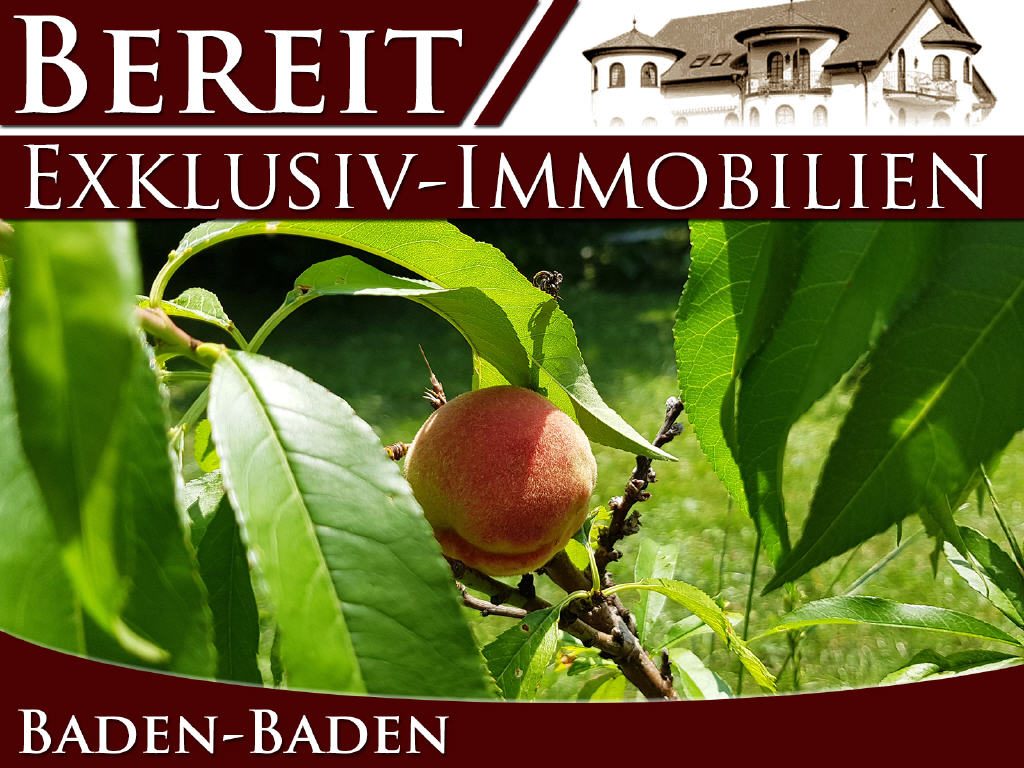 Sanierungsbedürftiges Mehrfamilienhaus/ Abrissgrundstück — Musterbild