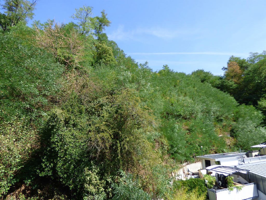Sehr gepflegtes Mehrfamilienhaus in zentraler Lage — Aussicht